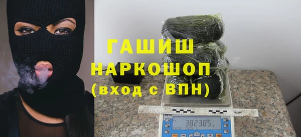 сатива Беломорск