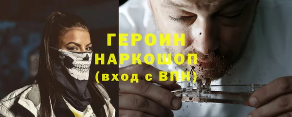 сатива Беломорск