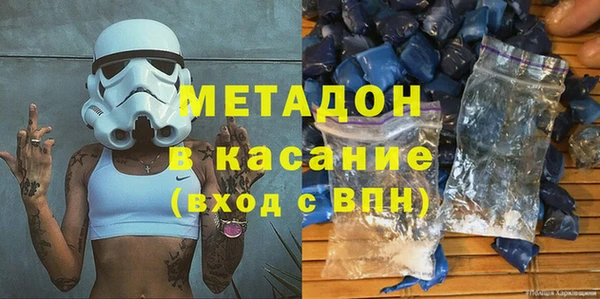 сатива Беломорск