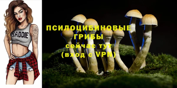 гидропоника Баксан