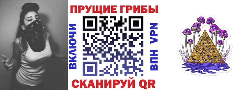 Псилоцибиновые грибы прущие грибы  Великий Устюг 